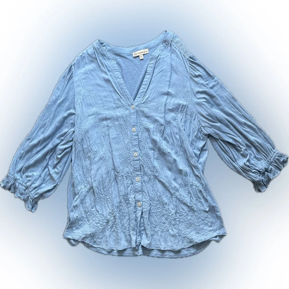 Democracy Sky Blue V-Neck Blouse - Picture 2 of 4